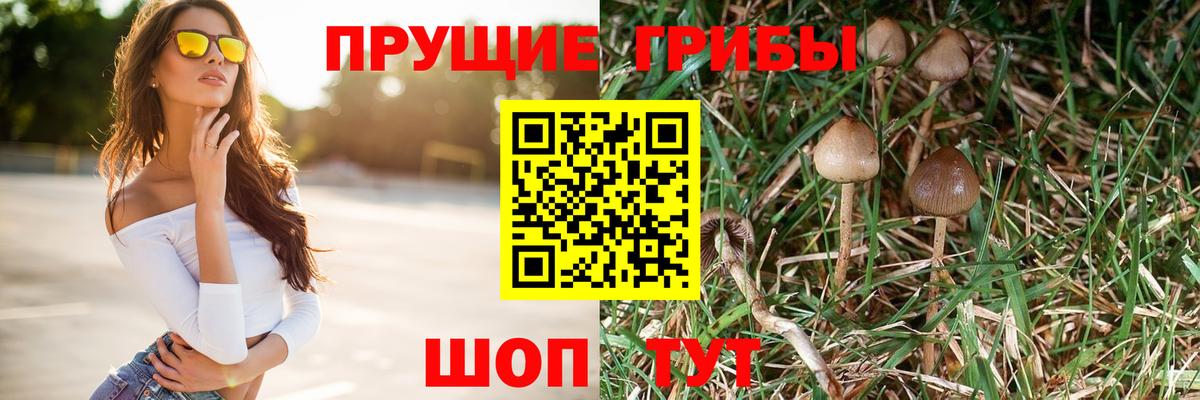 Калининград  Галлюциногенные грибы GOLDEN TEACHER  Вход с VPN 