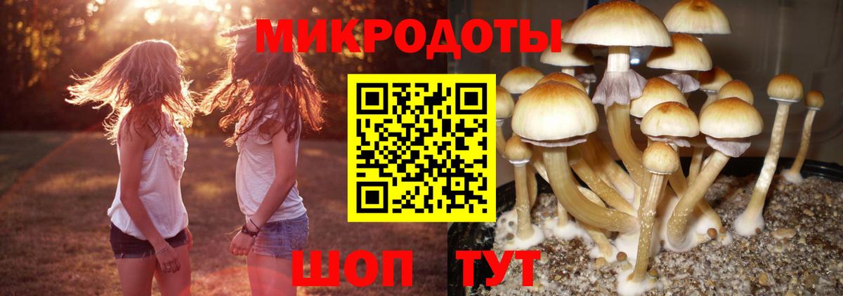 Галлюциногенные грибы прущие грибы Калининград